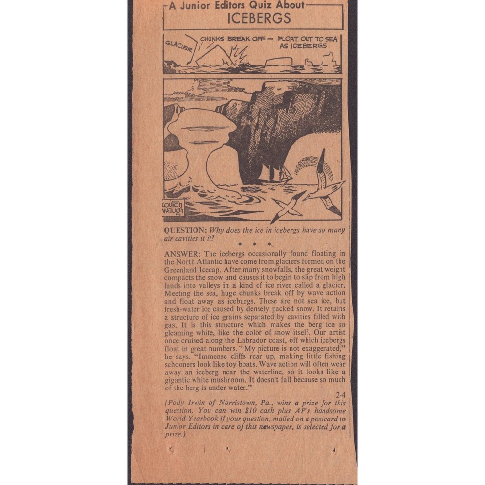 12 Vintage Junior Editors Quiz Newspaper Clippings Science Nature Ephemera Lot - Picture 3 of 14